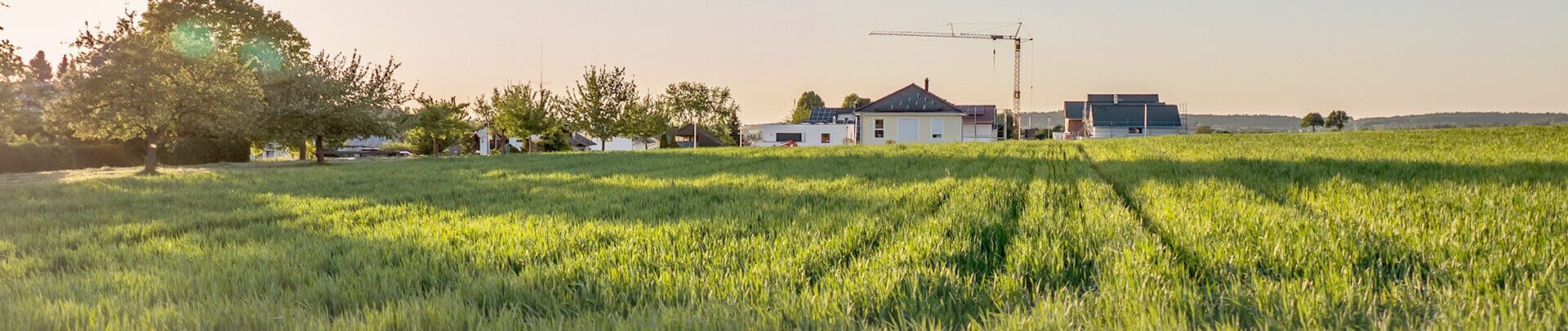 Grundstücksverkauf Wiese